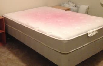 Full size mattress, boxspring, and bed frame $100 OBO 1