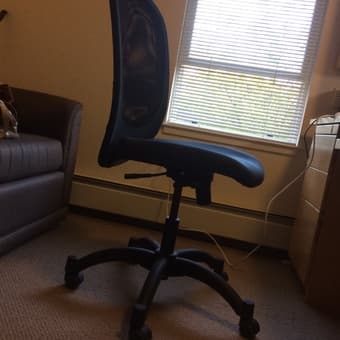 Mesh Back Adjustable Chair, $50, IKEA 2