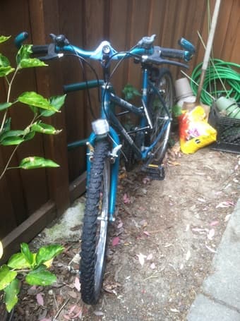 Woman's Mountain Bike for $100 OBO 1