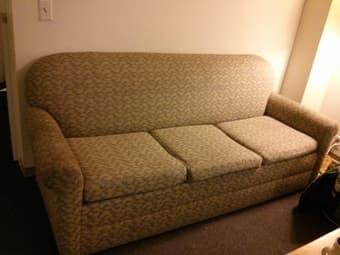 Nice couches 1