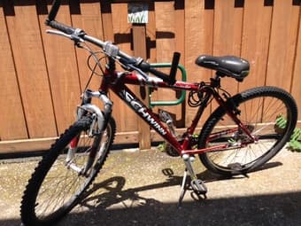 $100 Adult Mountain Bike, $40 Child Mountain Bike 3