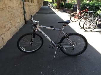 Giant bike 1