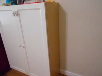 Cabinet 1