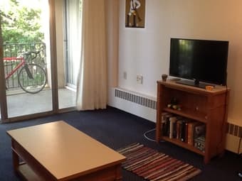 EV 1 bedroom apt. sublet, Aug. 7-16, $64/night 3