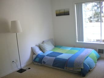 Sunny Room in a Friendly Apartment - $960/mo in Mountain View 1