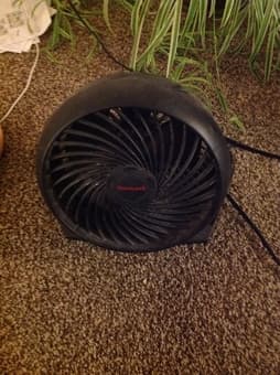 nice electric fan only for $5 1