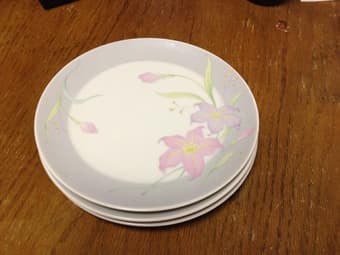 plates and lunch bag for sale 3