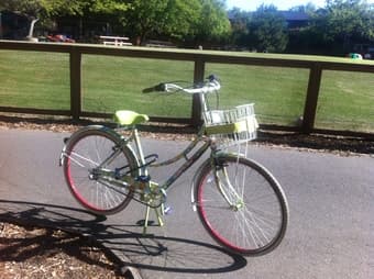 Bike with style - Flowery women bike Alice and Olivia by Stacey Bendet 1