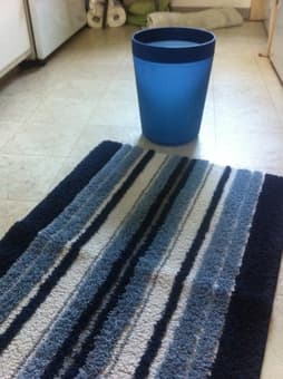 Bath room rug and trash can 1