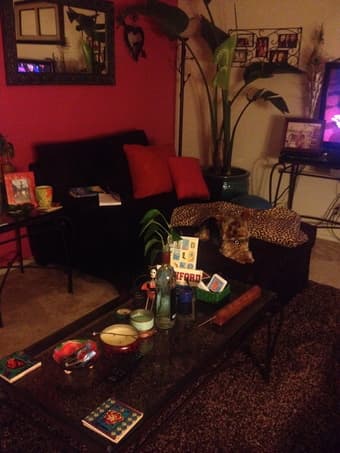 1 bedroom Available in furn 2/br/1bath apt. $1100 Mountain View 1