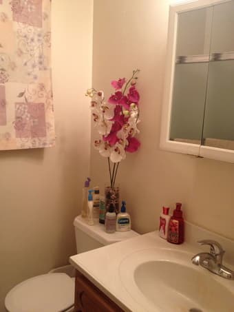 1 bedroom Available in furn 2/br/1bath apt. $1100 Mountain View 2