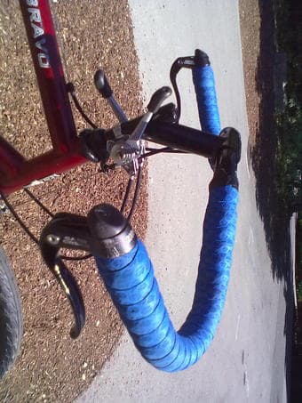 My beloved Nishiki. $475 3