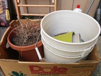 Pots and potting soil 2