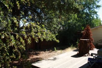 $750/mo shared room in house 5 min walk to Stanford. 3