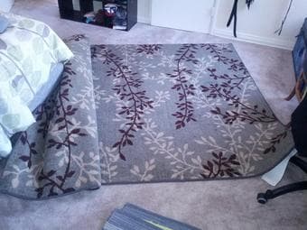 IKEA 9'x6' rug 1