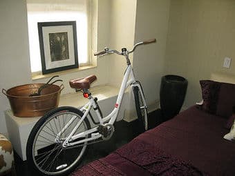 Cruiser! Globe Specialized Cruiser in White 1