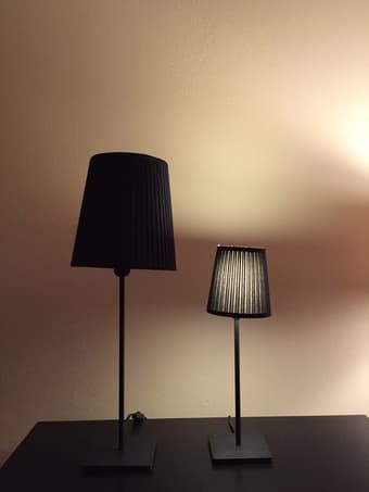 Selling Wood Bookshelf, Lamps, Mirrors, etc. 2