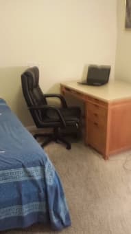 Roommate Seeking 1