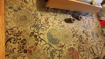 6'x9' and 2'x7' Carpets/Rugs 1