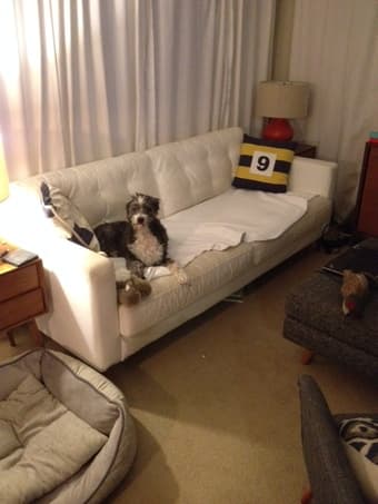 Mid Century Modern Styled Couch - Used - $100 (palo alto) 1
