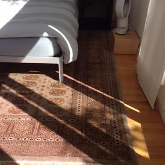 9' by 11' area rug. $200 2
