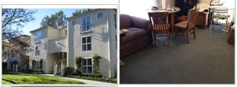 ***1BR in Spacious Rains Houses, Female, Dec.11-31 斯坦福校园内1间卧室出租*** 1