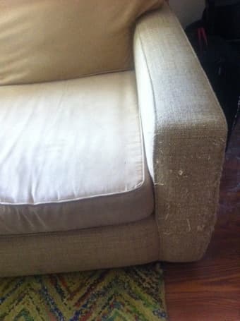 Free sofa in Menlo Park 2