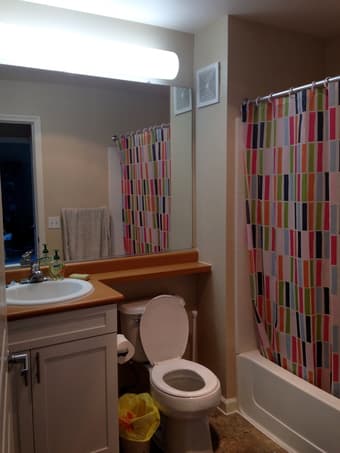 Large 1br w/bath in 2br apt avail Dec. 5th-Jan 4 2