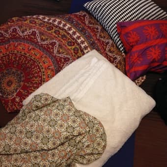Tapestry, Unused Bedding, Blanket, pilllows $10 and $5 1