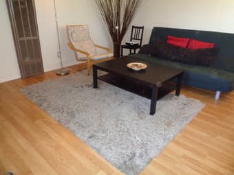 several IKEA Rugs - $5 2