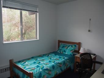 EV South sublet 12th Dec - 4th Jan (FLEXIBLE DATES) - 907$/month 1