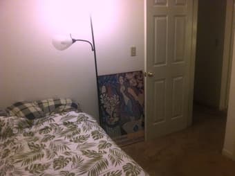 Room in Downtown Menlo Park with Stanford Post-Docs 1