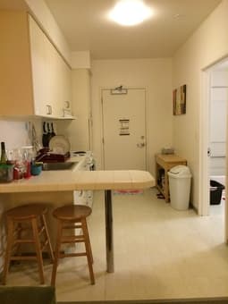 On Campus Studio Available 21 Dec - 6 Jan ($400/week) 3