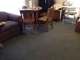 ***1BR in Spacious Rains Houses, Female, Dec.11-31 斯坦福校园内1间卧室出租*** 2