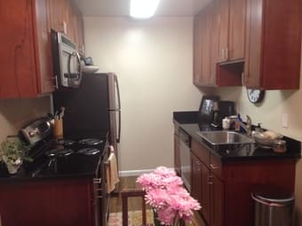 $1400 Female Roommate Wanted for Nicely Decorated Two-Bedroom Apartmen 3