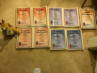 MCAT Complete Berkeley Review Set Rare! Kangaroo Plushie 1