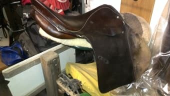 English Saddle, Stubben Siegfried 17" All-purpose $300 2
