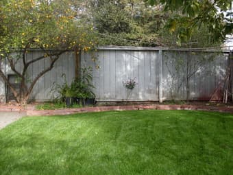 $1000 Big furnished room for rent in Palo Alto  available from Feb 1st 1