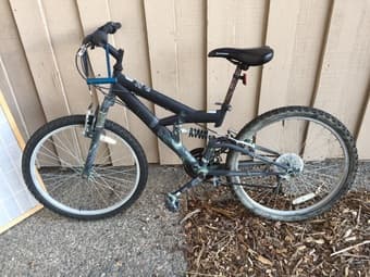 $45 for female bike 1