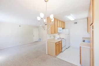 1bd/1ba apartment available from 29th of Jan / Mountain View 1