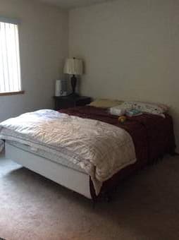$1000 1 Bedroom in a 2 BR Apartment for 2 months 3