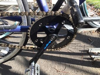 Bianchi Road Bike/Fixie (for parts) $300 obo 2