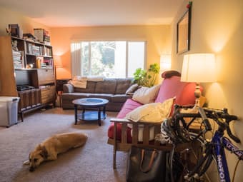 Room in a 2bd/1bath in Menlo Park $1137; roommate and dog included! 1