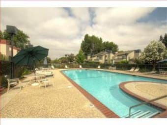 North San Jose （近Santa Clara，San Jose，Fremont，Milpitas，South Bay） 短租 3