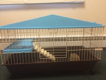 Big, unused Guinea Pig / Rabbit / Rat Cage $60 OBO 1