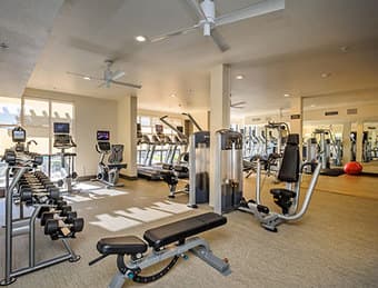 Luxury Apartment in Redwood City 2