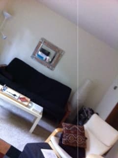 Looking for a Female Roommate, Mountain View $1,195/month April 1st 2