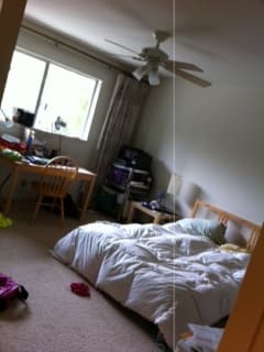 Looking for a Female Roommate, Mountain View $1,195/month April 1st 3