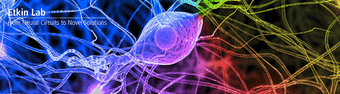 Volunteer position in brain imaging, brain stimulation, psychiatry 1