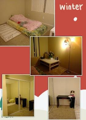 $1200 / 110ft2 - 1B1B in Luxury Apt(找女室友） (sunnyvale) 1